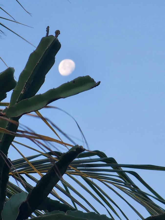 Myoli Wellness & Happiness Bnb Playa del Carmen Eksteriør bilde