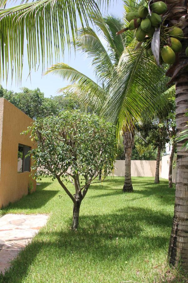 Myoli Wellness & Happiness Bnb Playa del Carmen Eksteriør bilde