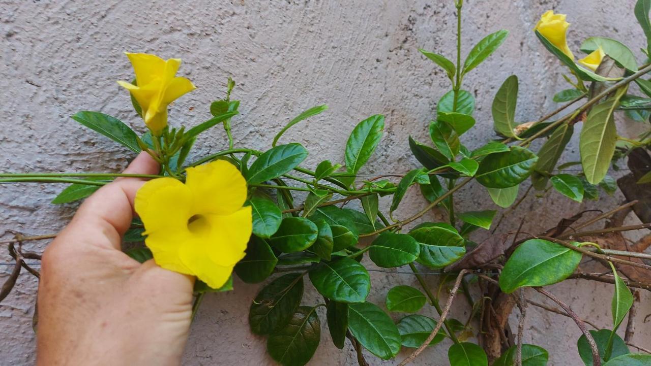 Myoli Wellness & Happiness Bnb Playa del Carmen Eksteriør bilde
