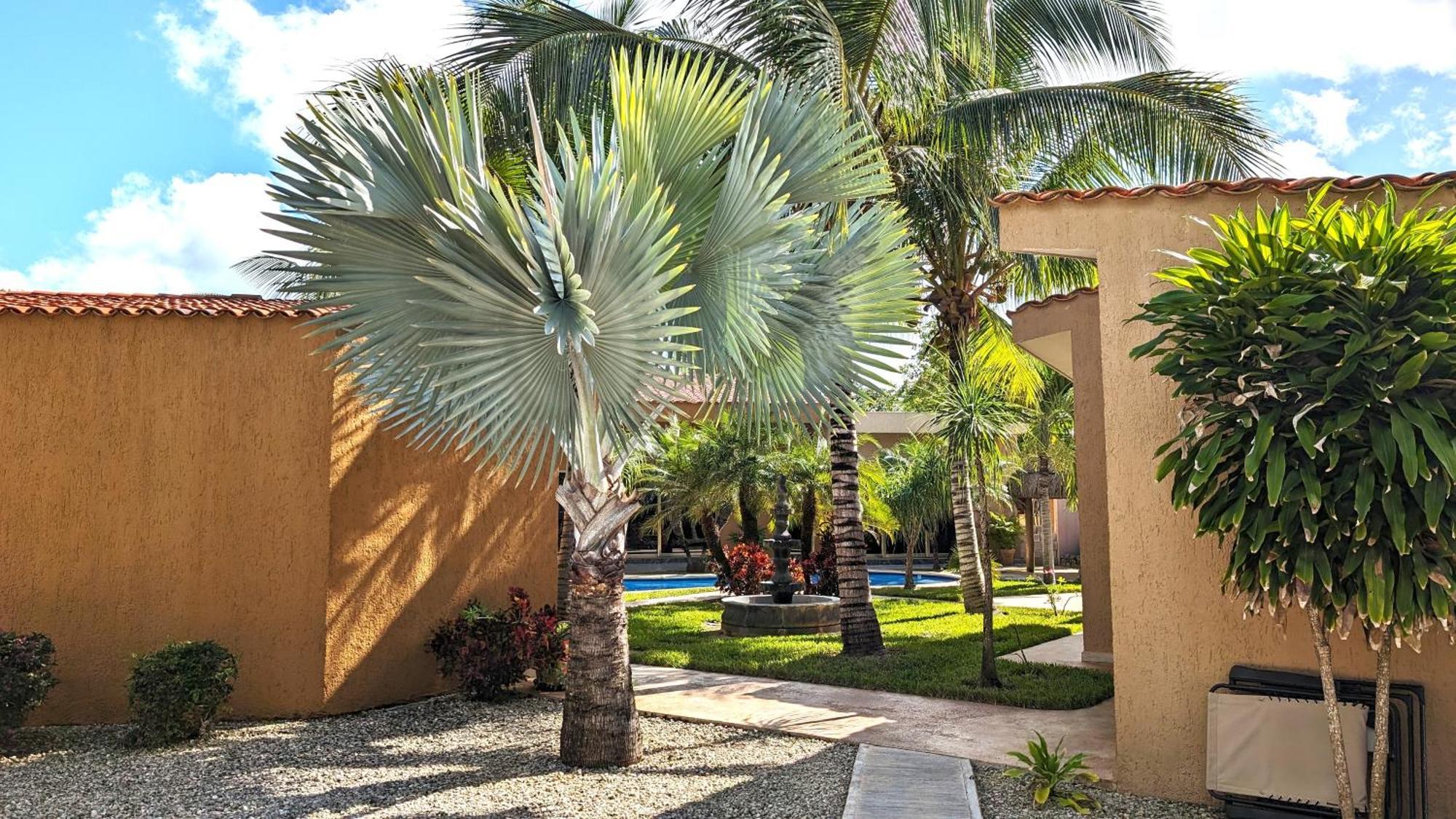 Myoli Wellness & Happiness Bnb Playa del Carmen Eksteriør bilde